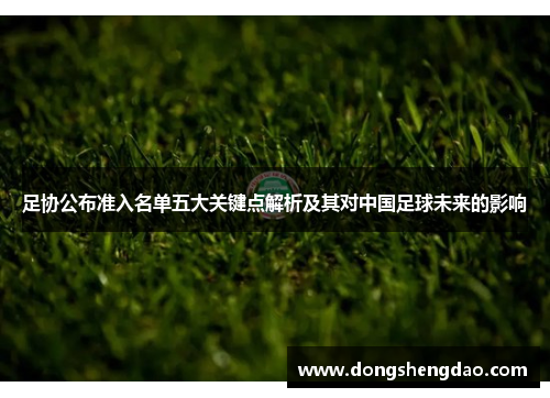足协公布准入名单五大关键点解析及其对中国足球未来的影响