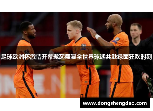 足球欧洲杯激情开幕掀起盛宴全世界球迷共赴绿茵狂欢时刻